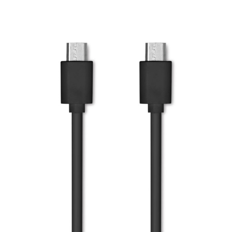 Vue rapprochée des deux connecteurs noirs du câble de charge.