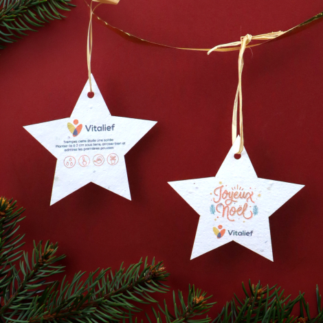 Deux étoiles de Noël en papier ensemencé personnalisées Vitalief, suspendues avec des liens en raphia, présentant un message Joy