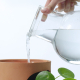 Gros plan sur une main versant de l'eau avec une carafe en verre dans un pot en terre cuite à ouverture latérale, illustrant son