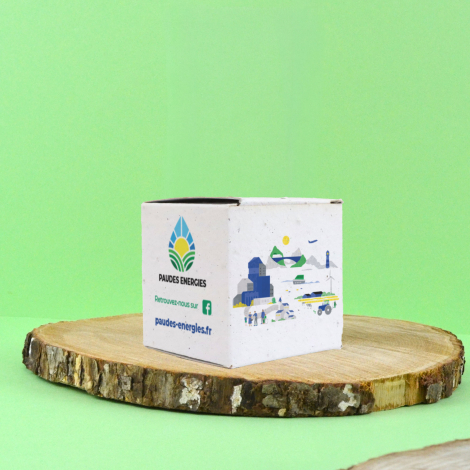 Boîte cubique en papier ensemencé personnalisée avec le logo Paudes Énergies et des illustrations colorées, posée sur une rondel