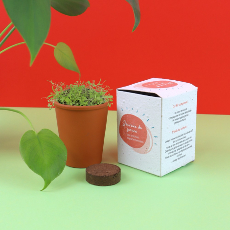 Kit promotionnel pot terre cuite en boite ensemencée à planter