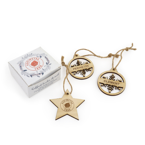 Coffret promotionnel Décorations de Noël en boite ensemencée