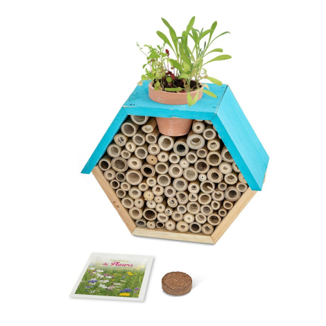 Hôtel à insectes en bois avec toit bleu turquoise, rempli de tiges de bambou et surmonté d'un petit pot de fleurs en croissance,