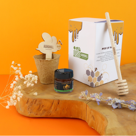 Coffret graines à planter promotionnel Mini box découverte miel & abeille