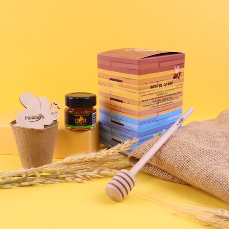 Coffret cadeau sur le thème des abeilles avec boîte illustrée façon ruche, pot de miel, coupelle de culture et abeille en bois p