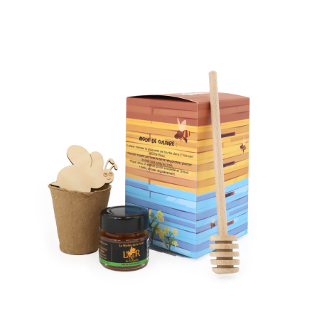 Coffret cadeau apiculture avec boîte colorée illustrée d'abeilles et instructions de culture, petit pot de miel, coupelle de cul