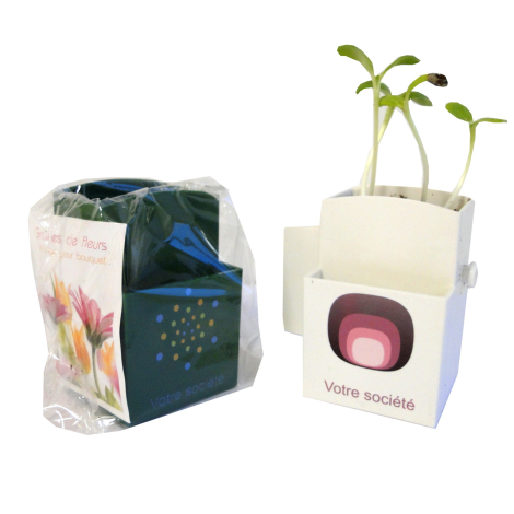 Kit de plantation publicitaire - Végétal Box