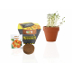 Kit de plantation publicitaire pot en terre