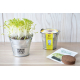 Kit de plantation personnalisable pot en zinc