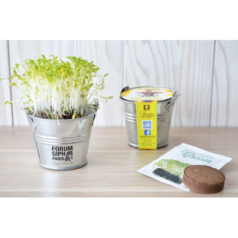 Kit de plantation personnalisable pot en zinc