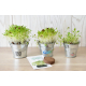 Kit de plantation personnalisable pot en zinc