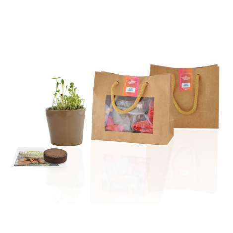 Kit de plantation publicitaire - sac kraft