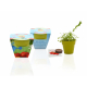 Kit de plantation publicitaire - pot biodégradable
