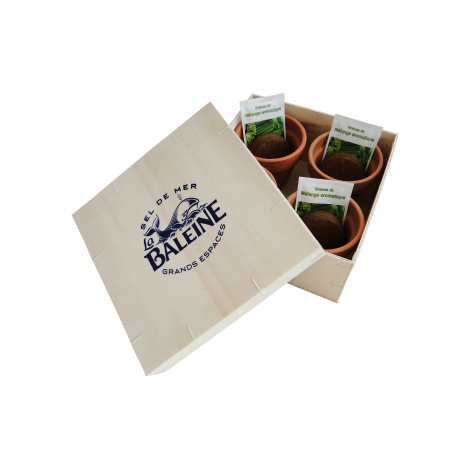 Kit de plantation publicitaire - coffret aromatique bois