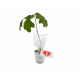 Plant d'arbre dans un pot en zinc publicitaire