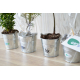 Plant d'arbre dans un pot en zinc publicitaire