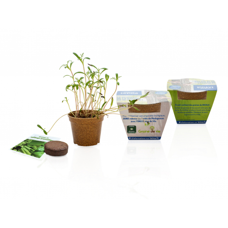 Kit de plantation publicitaire - Pot en paille de riz