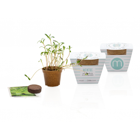 Kit de plantation publicitaire - Pot en paille de riz