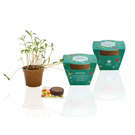 Kit de plantation publicitaire - Pot en paille de riz