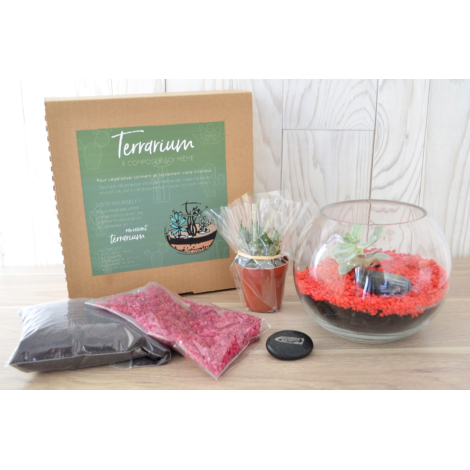 Terrarium publicitaire en kit avec une plante dépolluante