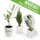 Oeuf promotionnel avec mini plant d'arbre