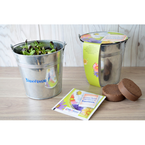 Kit de plantation personnalisable pot en zinc