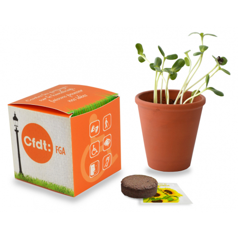 Cube de plantation publicitaire 7 ou 10 cm