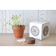 Cube de plantation publicitaire 7 ou 10 cm