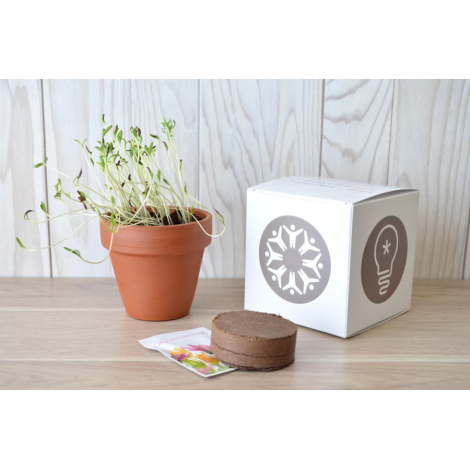 Cube de plantation publicitaire 7 ou 10 cm