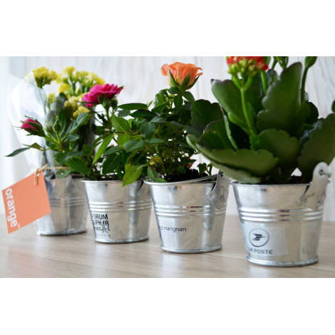 Mini plante fleurie en pot zinc publicitaire