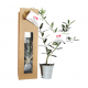 Plant d'arbre dans sac kraft publicitaire