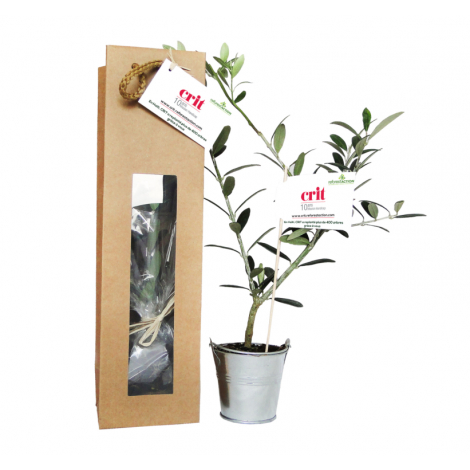 Plant d'arbre dans sac kraft publicitaire