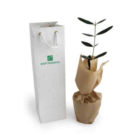 Plant d'arbre en sac à graines personnalisable