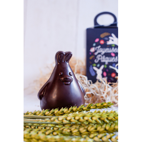 Lapin de Pâques personnalisable en chocolat