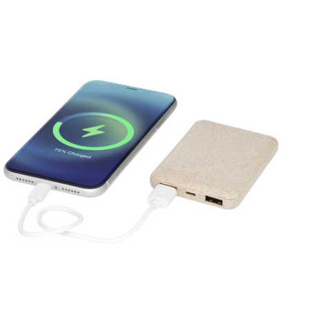 Batterie en paille de blé personnalisée 5 000 mAh Asama
