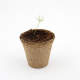 Kit de plantation arbre personnalisable