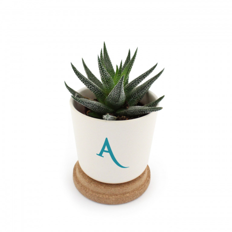 Plante en pot bambou personnalisable