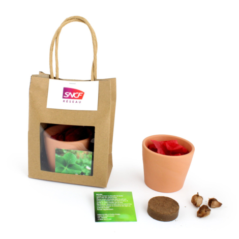 Kit de plantation publicitaire - sac kraft