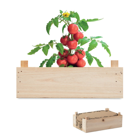 Kit de culture de tomate caissette publicitaire TOMATO