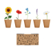 Kit plantation de fleurs personnalisable FLOWERS