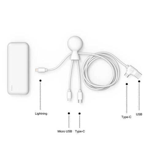 Pack de chargement 7000 mAh publicitaire Xoopar® Mr Bio HEPTA