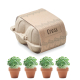 Boîte oeufs personnalisable 4 pots avec graines cresson CRESS CRESS