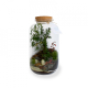 Terrarium tropical publicitaire - 3 formats