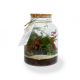 Terrarium tropical publicitaire - 3 formats