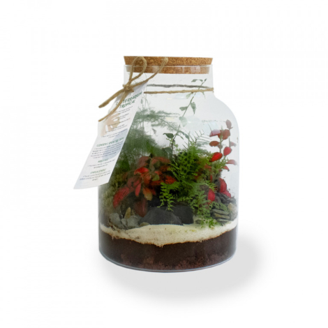 Terrarium tropical publicitaire - 3 formats