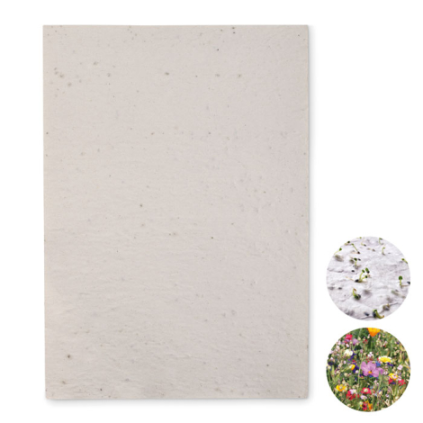 Papier A4 graines de fleurs personnalisable