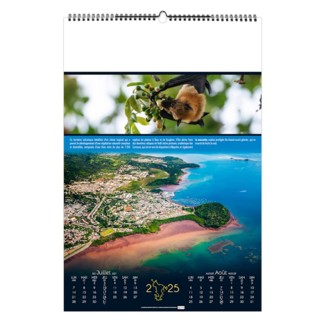 Calendrier illustré publicitaire - Douceurs polynésiennes