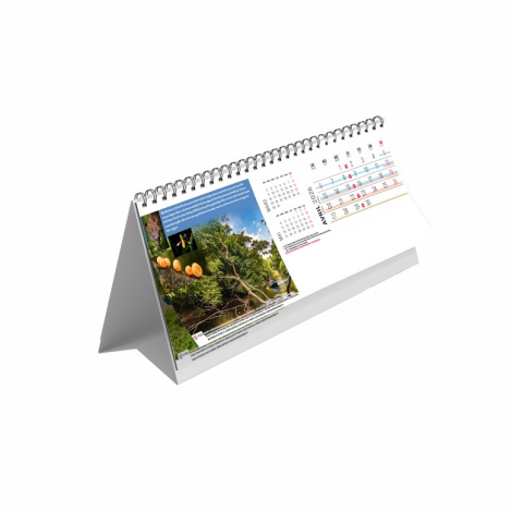Chevalet personnalisable Maxi 13 feuillets - Guyane