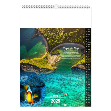 Calendrier illustré publicitaire - Ile de la Réunion