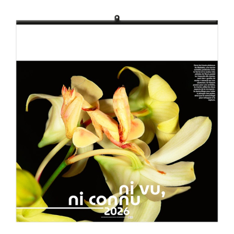 Calendrier illustré personnalisable - Invisible Calendrier illustré personnalisable - Invisible